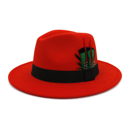 Men's And Women's New Woolen Broad-brimmed Hat Classic Top Fashion Feather Hat