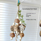 Bulk / Carambola Nut Style