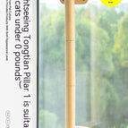 No Punching Required / TONTINE Pillar