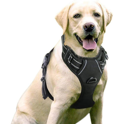 Pet Hand Holding Rope Chest And Back Nylon Dog Rope