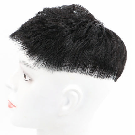 Korean Style Handsome Real Hair Fashion Hot Fluffy Natural Wig
