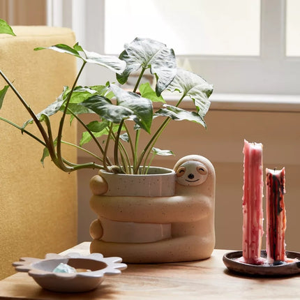 Cute, Creative And  Green Plant Potted Plants