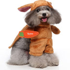 Brown rabbit / L