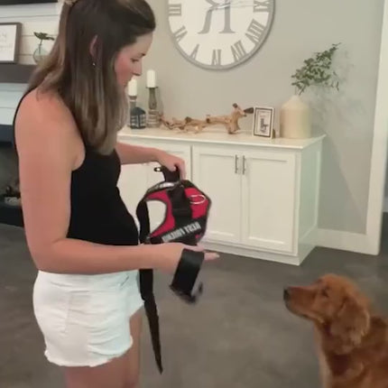 1.mp4